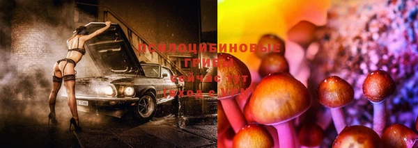эйфоретик Алзамай