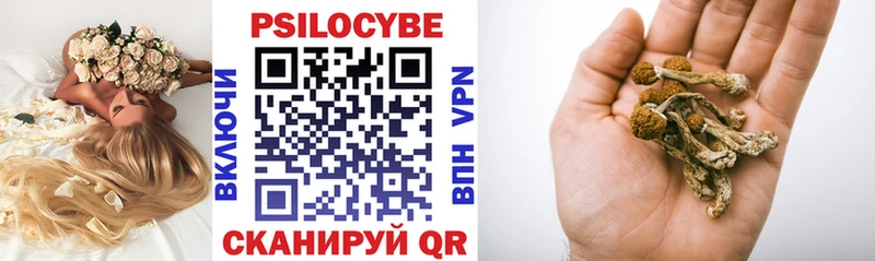 Псилоцибиновые грибы Psilocybe  Перевоз 